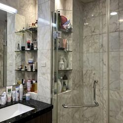 Tanglin Park (D10), Condominium #557817291